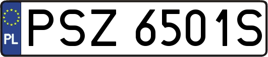 PSZ6501S