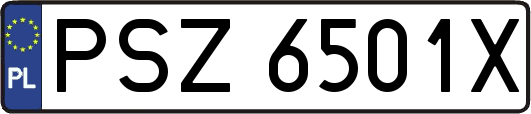 PSZ6501X