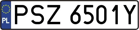 PSZ6501Y