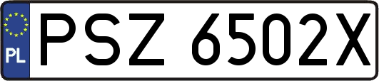 PSZ6502X