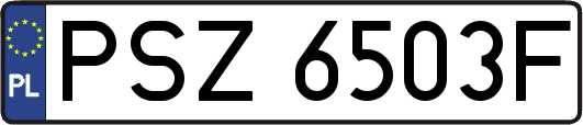 PSZ6503F