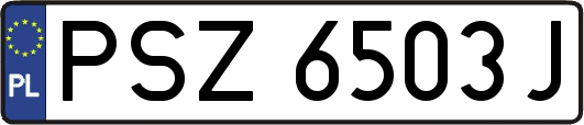 PSZ6503J