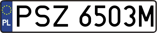 PSZ6503M