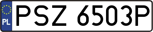 PSZ6503P