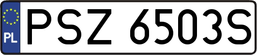 PSZ6503S