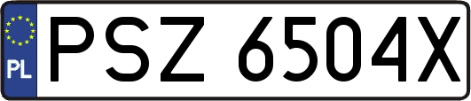 PSZ6504X