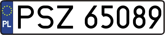 PSZ65089