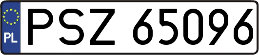 PSZ65096