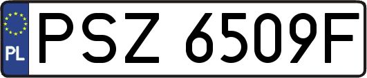 PSZ6509F