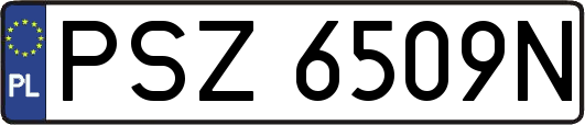 PSZ6509N