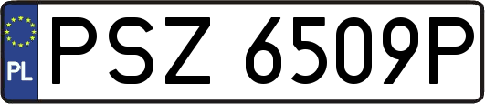 PSZ6509P