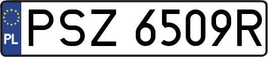 PSZ6509R