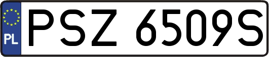 PSZ6509S