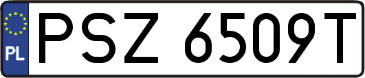 PSZ6509T