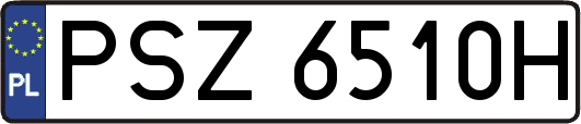 PSZ6510H