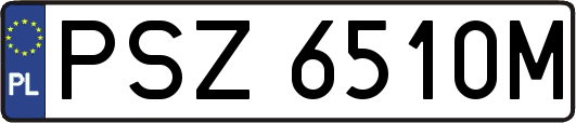 PSZ6510M