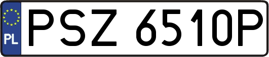 PSZ6510P