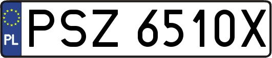 PSZ6510X