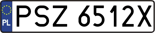 PSZ6512X