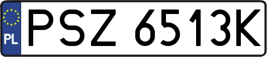 PSZ6513K