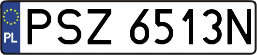 PSZ6513N