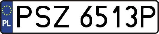 PSZ6513P