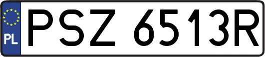 PSZ6513R