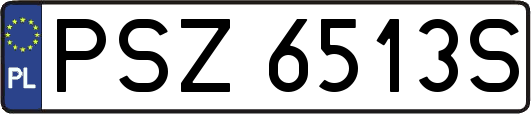 PSZ6513S