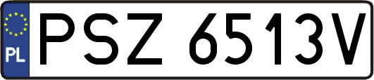PSZ6513V