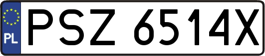 PSZ6514X