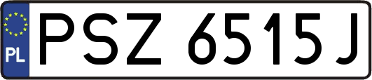 PSZ6515J