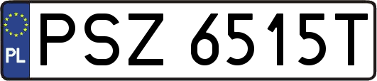 PSZ6515T