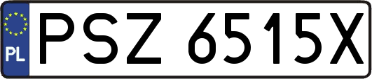 PSZ6515X