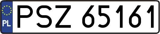 PSZ65161