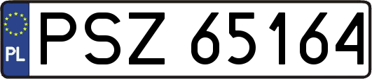PSZ65164
