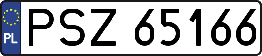 PSZ65166