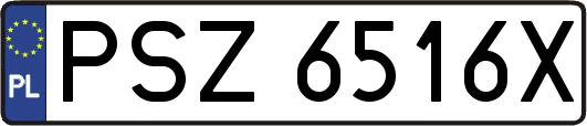 PSZ6516X