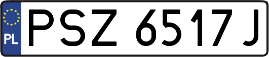 PSZ6517J