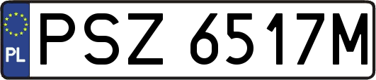 PSZ6517M