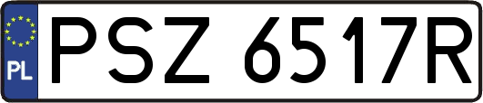 PSZ6517R