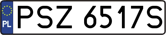 PSZ6517S