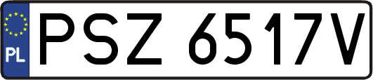 PSZ6517V