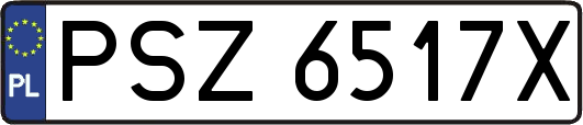 PSZ6517X