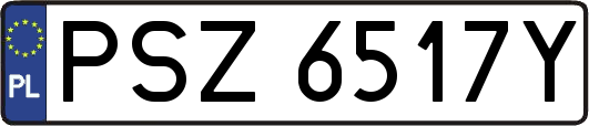 PSZ6517Y