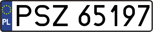 PSZ65197