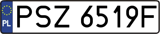 PSZ6519F