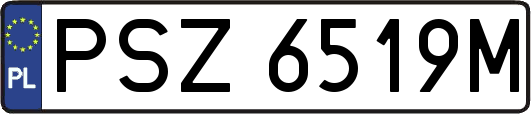 PSZ6519M