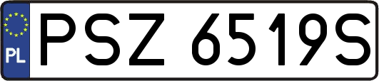 PSZ6519S