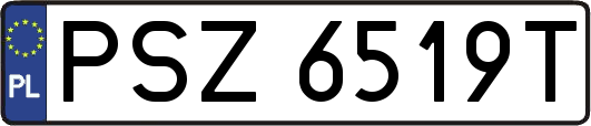 PSZ6519T