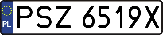 PSZ6519X